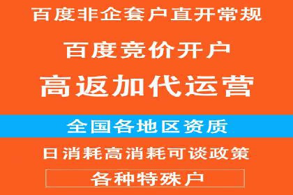 某行业巨头背后的SEM代运营托管公司